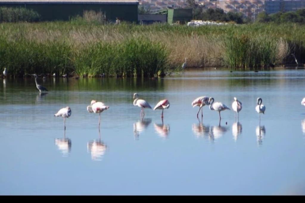 Apartamento Junto Al Mar Con Wifi Y Piscina Sagunto Luaran gambar